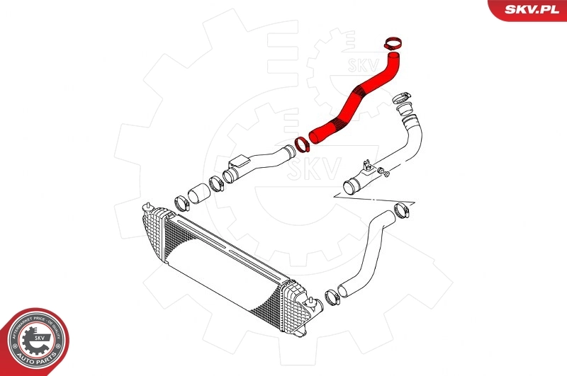 Charge Air Hose 43SKV319