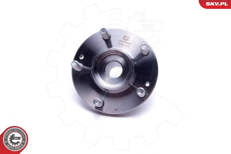 ESEN SKV 29SKV481 Wheel Bearing Kit