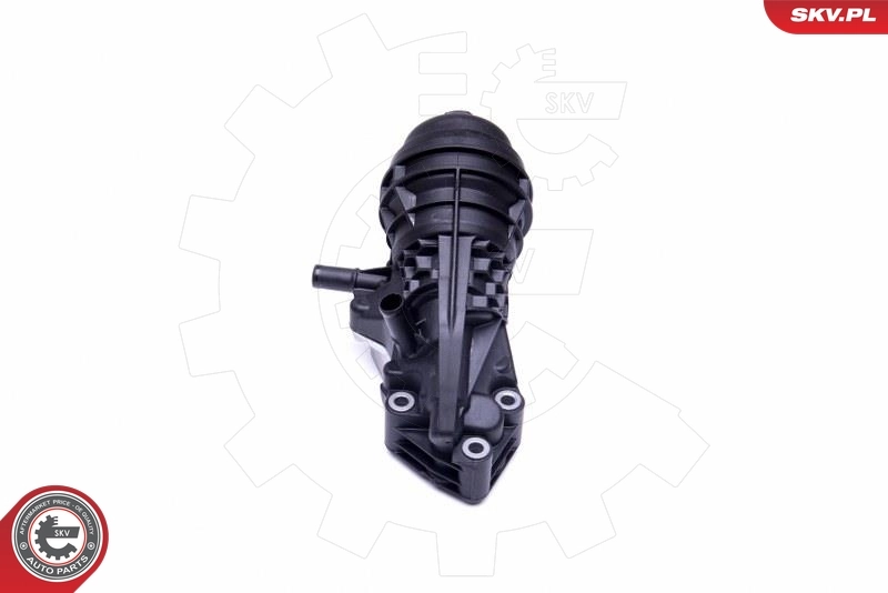 Oil Cooler, engine oil 31SKV170