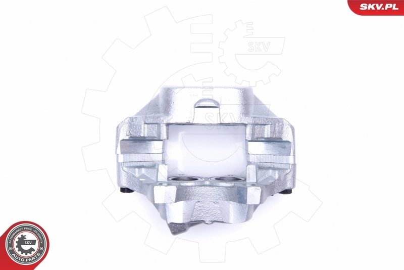 Brake Caliper 45SKV502