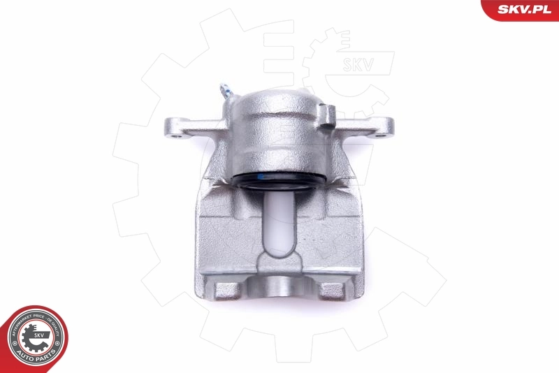 Brake Caliper 55SKV921