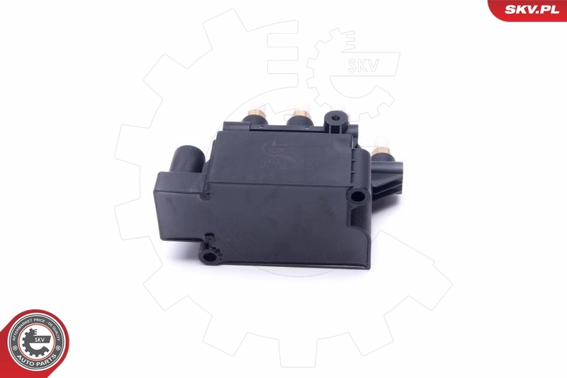 ESEN SKV 93SKV812 Valve, compressed-air system