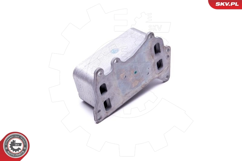 Oil Cooler, engine oil 31SKV222