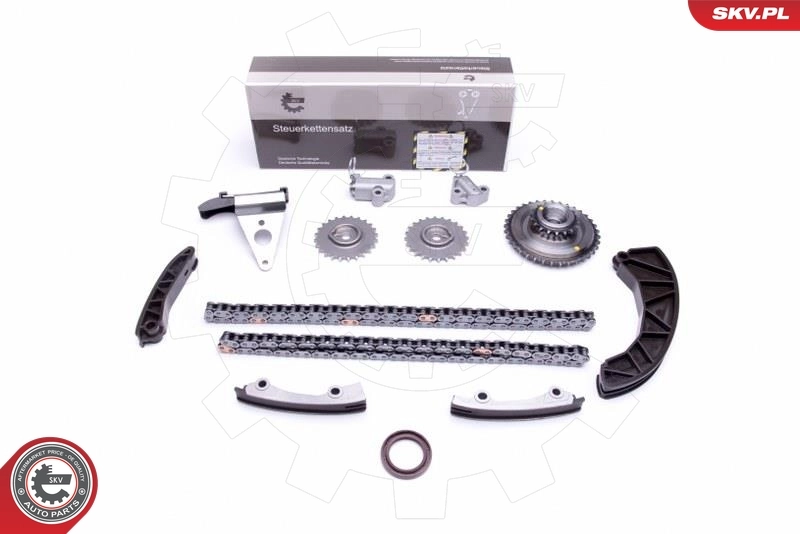 Timing Chain Kit 21SKV225
