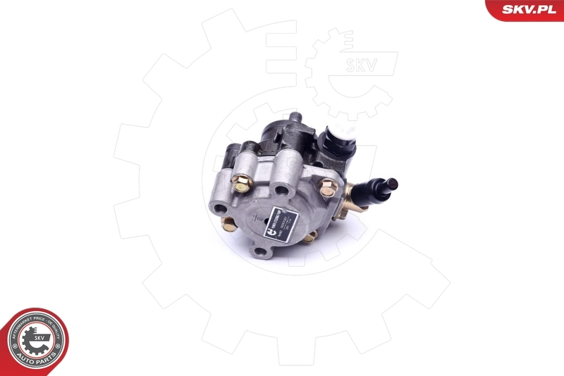 Hydraulic Pump, steering 10SKV267