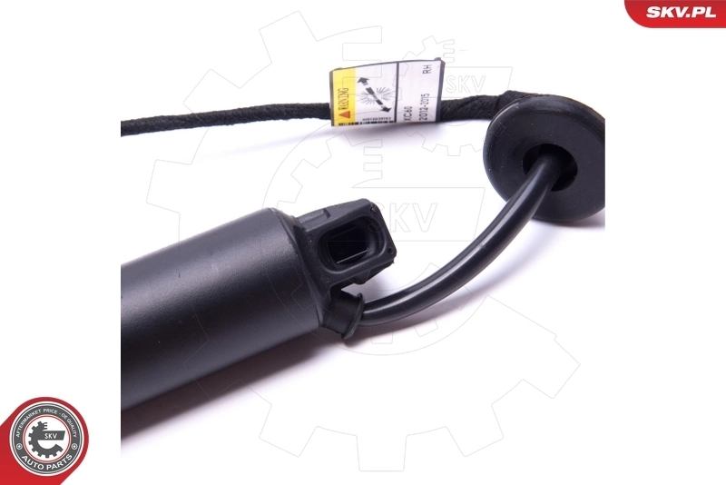 Electric Motor, tailgate 52SKV940