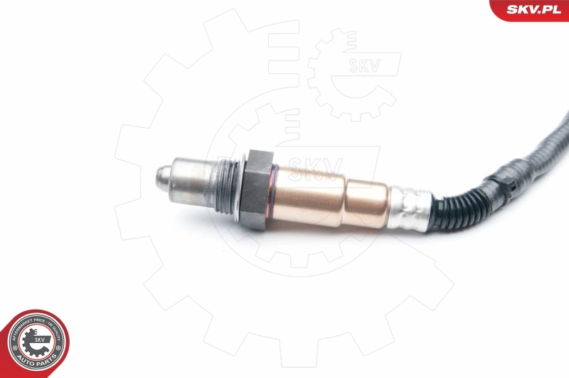 Oxygen Sensor 09SKV619