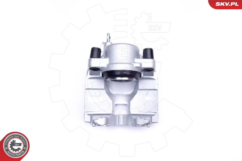 Brake Caliper 42SKV311