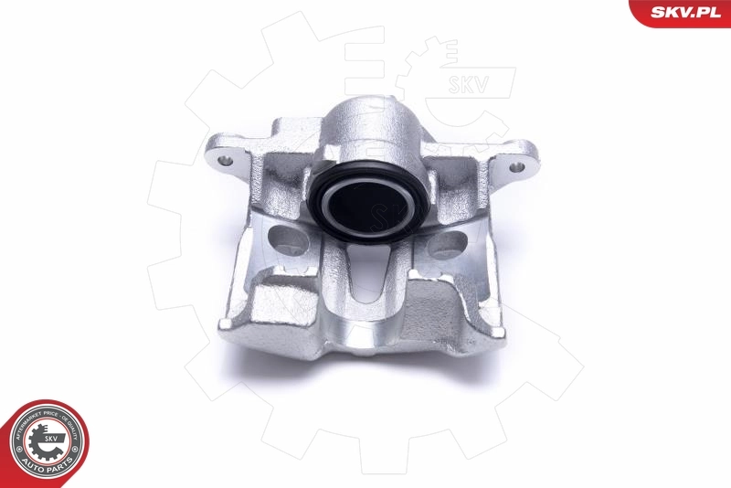 Brake Caliper 50SKV971