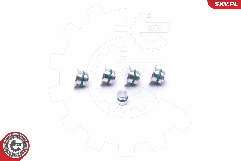 Repair Kit, intake manifold module 49SKV530