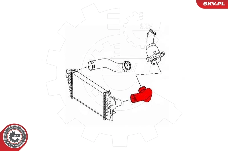 Charge Air Hose 43SKV231