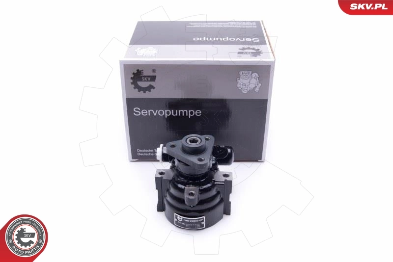 Hydraulic Pump, steering 10SKV302