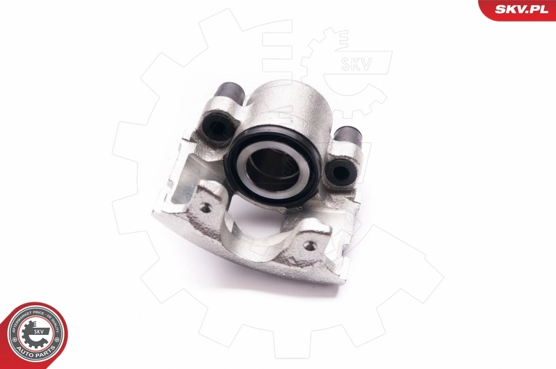 Brake Caliper 23SKV391