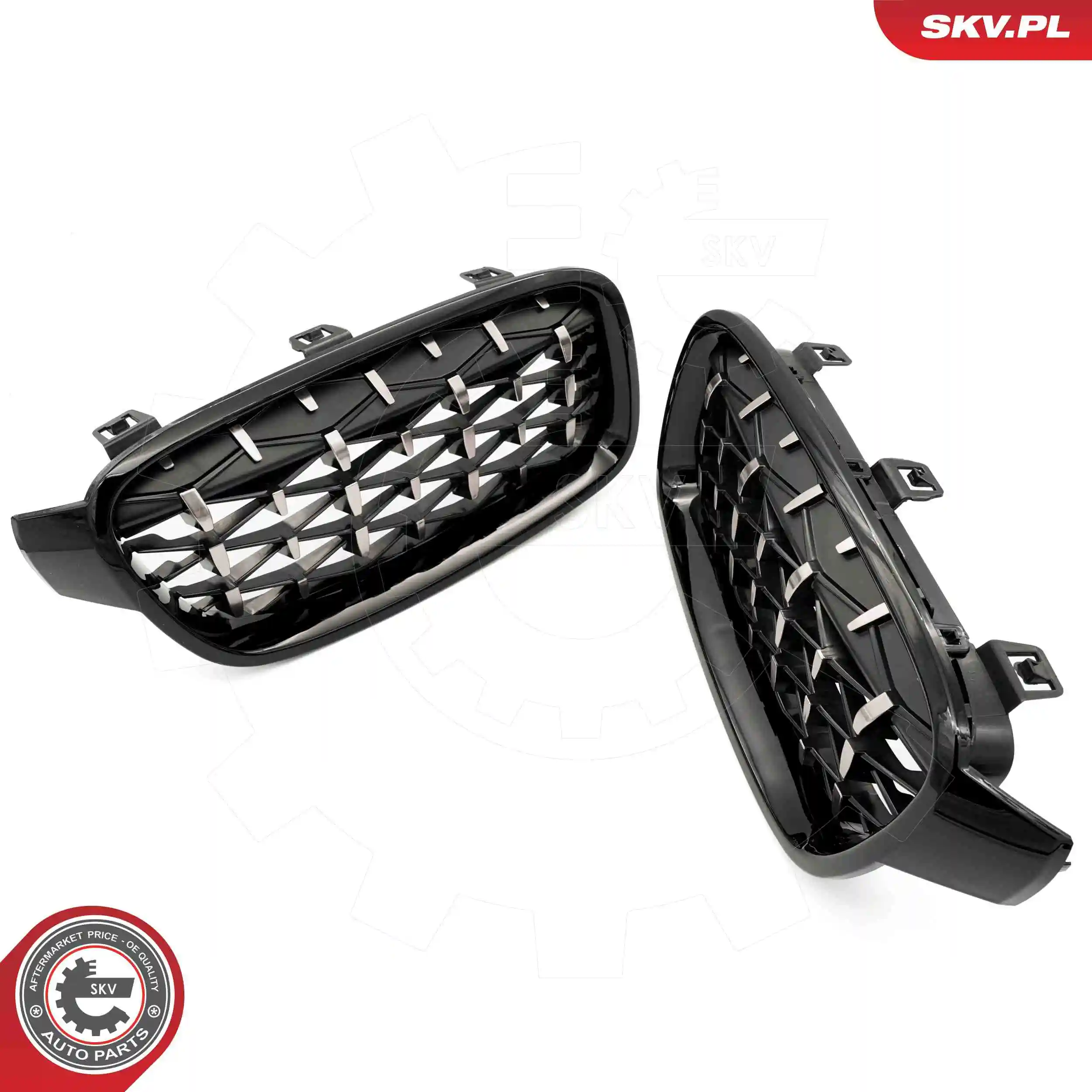 Radiator Grille 66SKV129