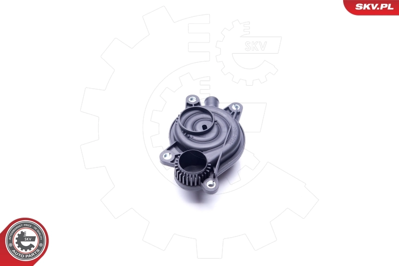 Oil Separator, crankcase ventilation 31SKV059