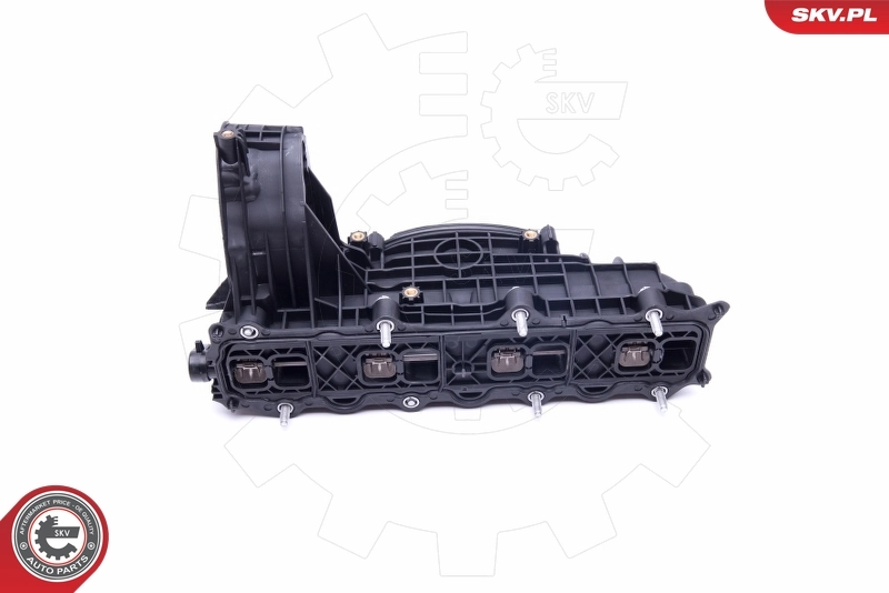 Intake Manifold Module 49SKV014