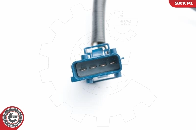 Oxygen Sensor 09SKV689