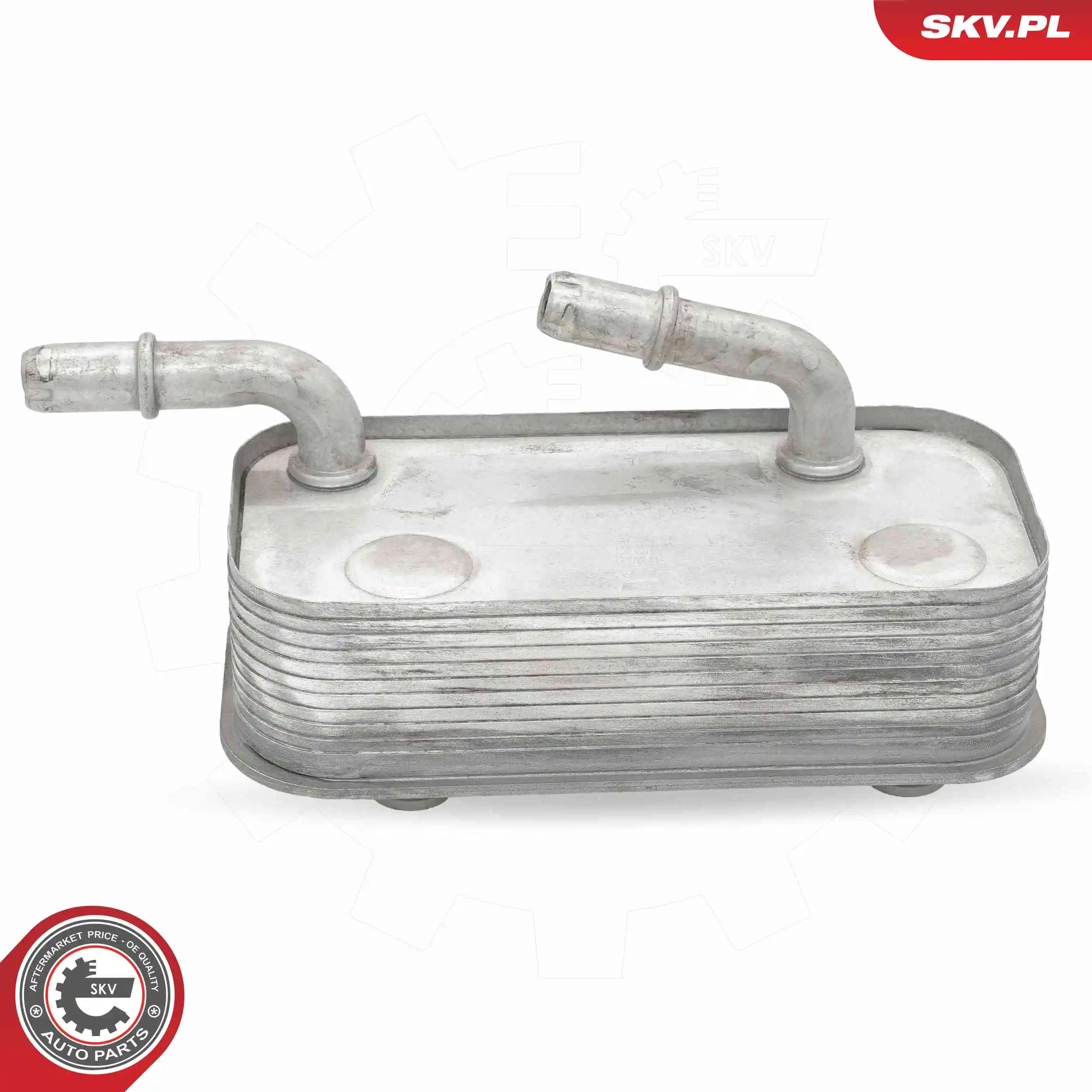 Oil Cooler, engine oil 31SKV281