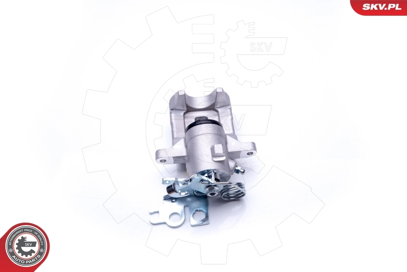 Brake Caliper 42SKV043