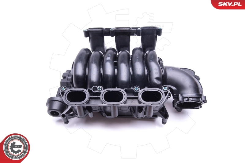 Intake Manifold Module 49SKV004