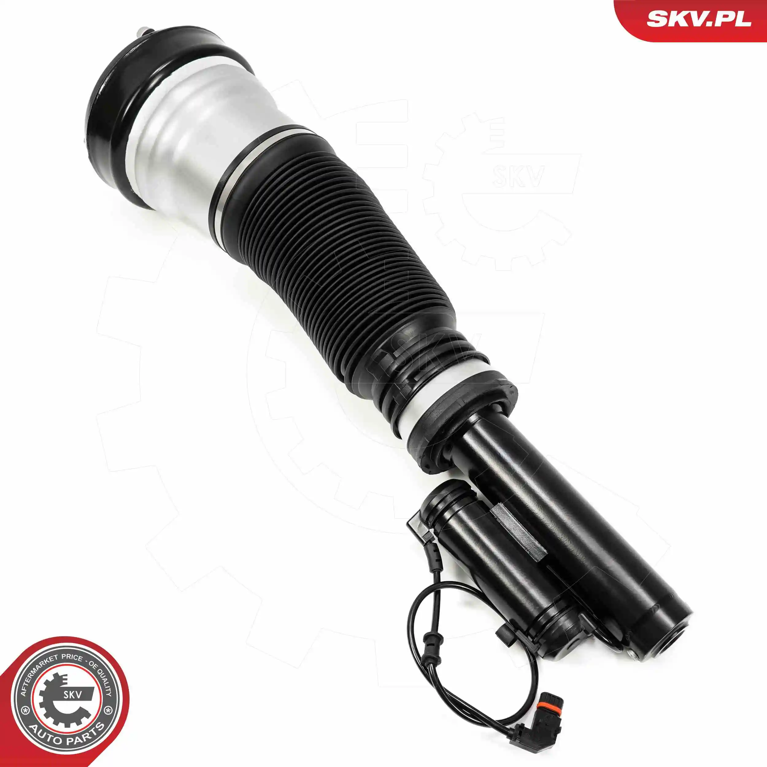 Air Suspension Strut 58SKV718