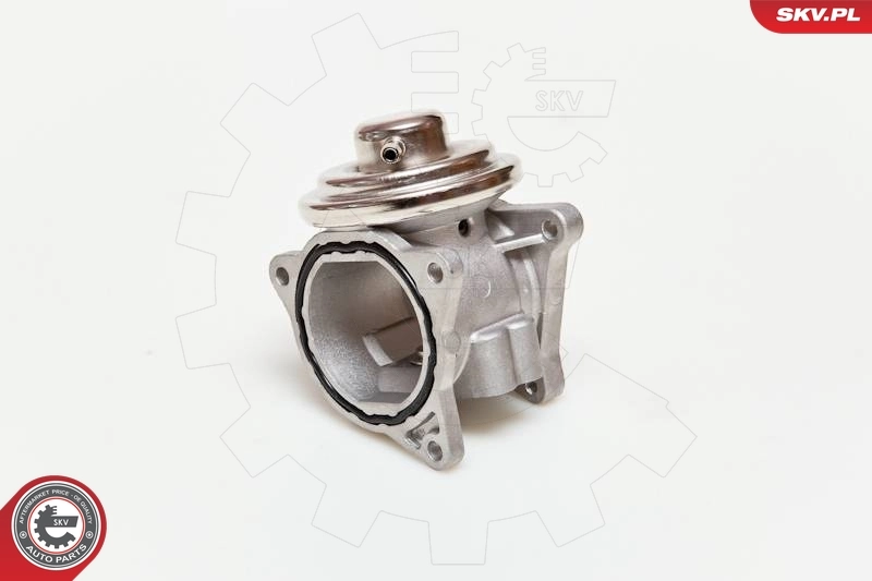 EGR Valve 14SKV019