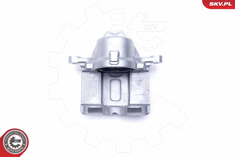 Brake Caliper 46SKV061
