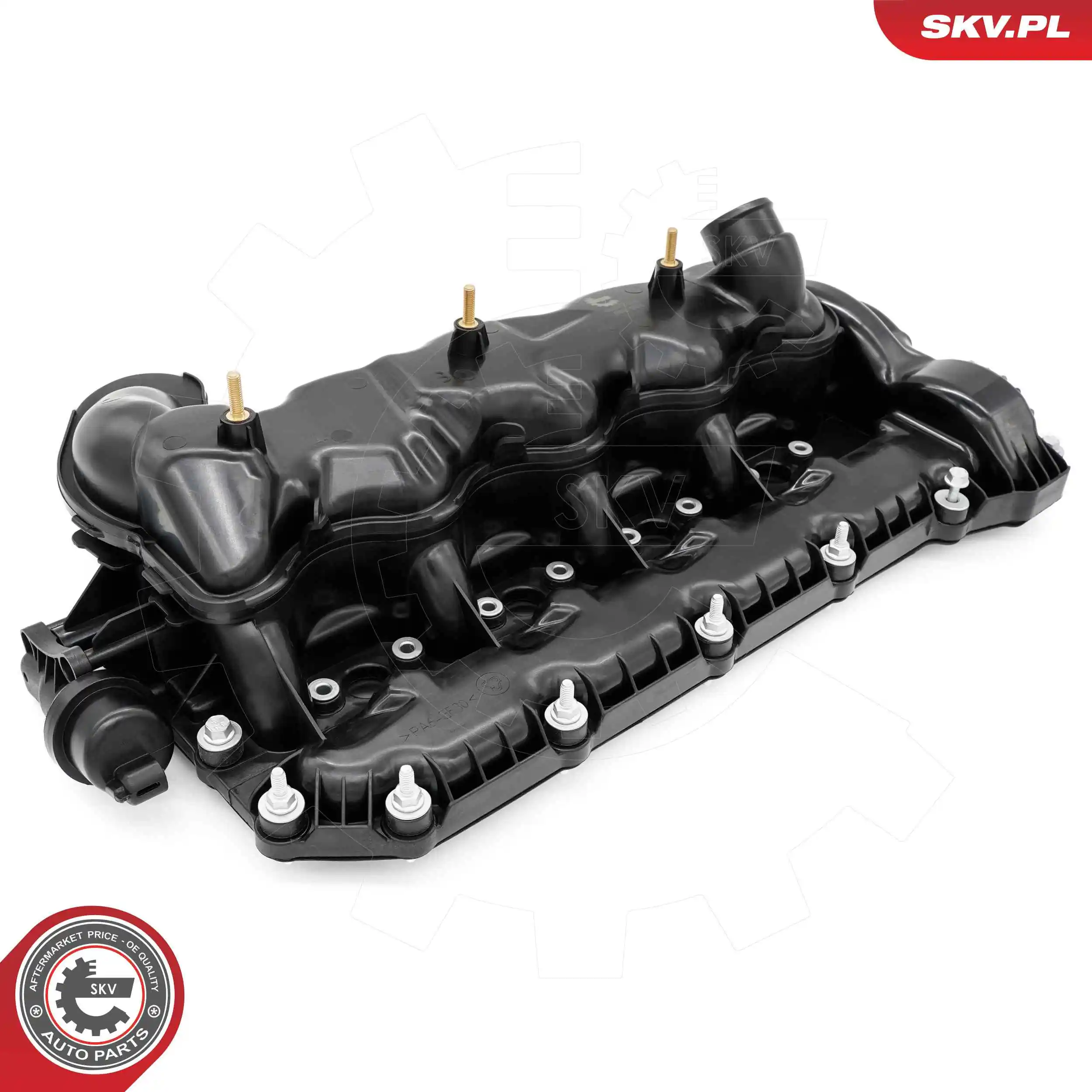 Cylinder Head Cover 48SKV116
