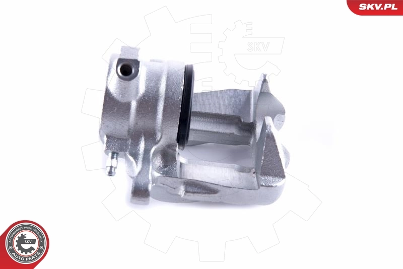 Brake Caliper 55SKV131