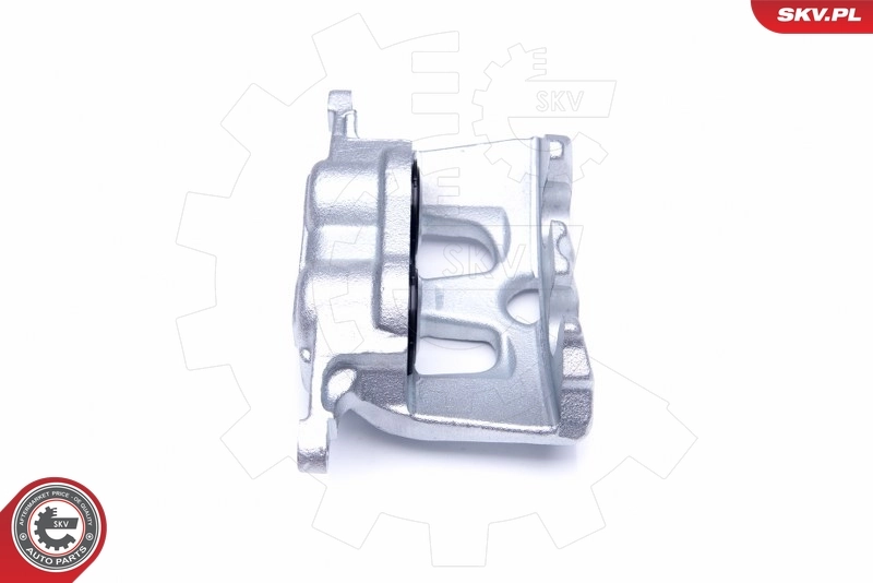 Brake Caliper 44SKV202