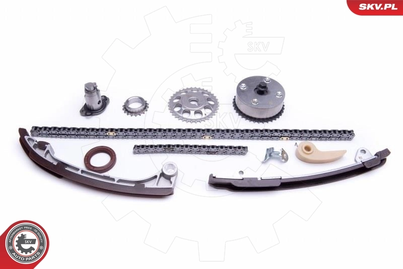 Timing Chain Kit 21SKV230