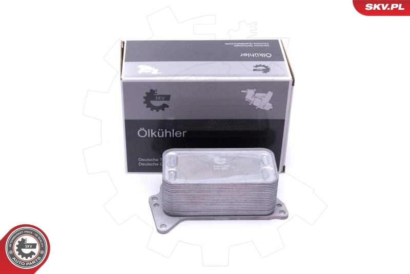Oil Cooler, engine oil 31SKV222