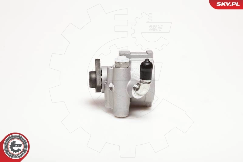 Hydraulic Pump, steering 10SKV003