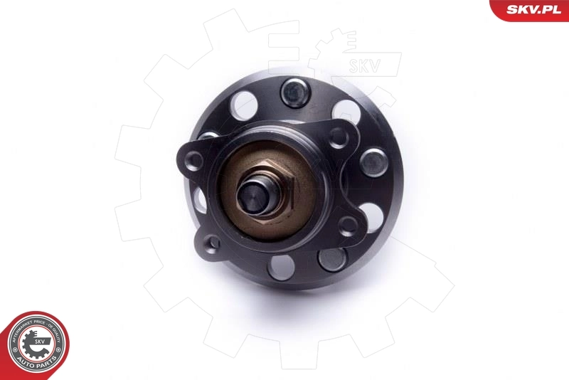 Wheel Bearing Kit 29SKV487