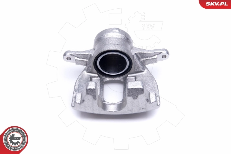 Brake Caliper 50SKV532