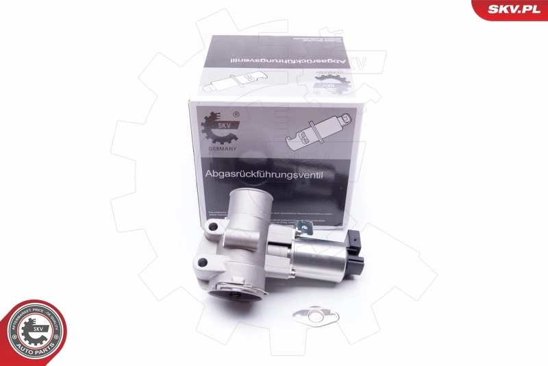 EGR Valve 14SKV186