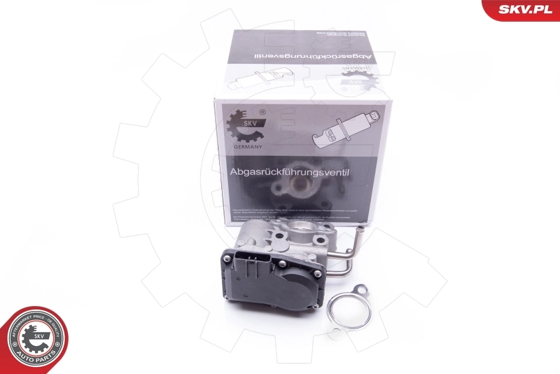 EGR Valve 14SKV189