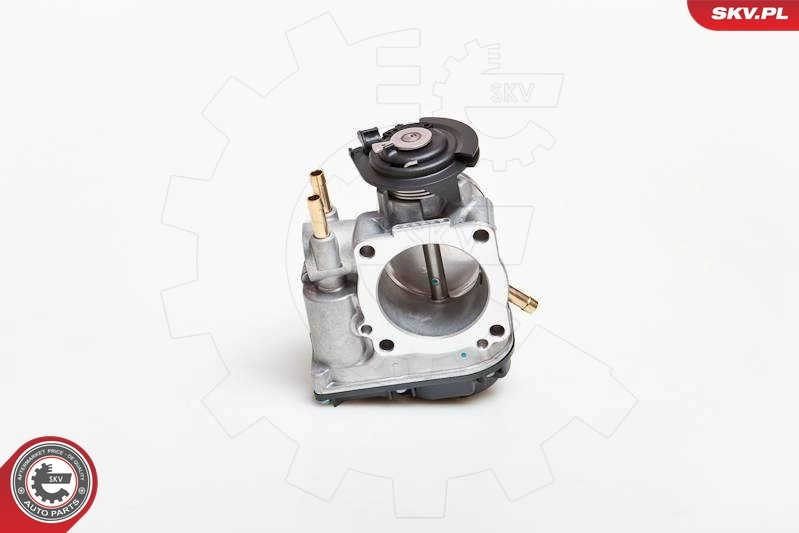Throttle Body 12SKV026