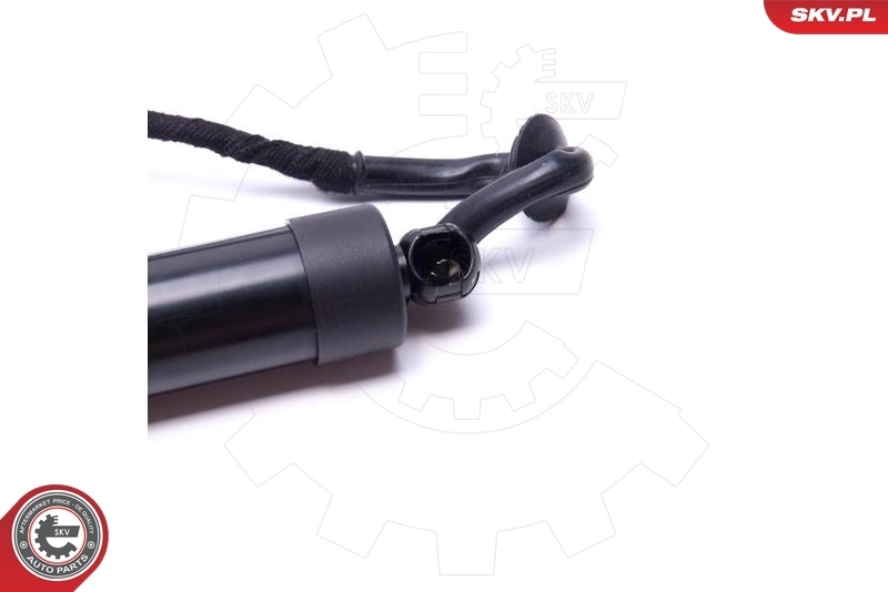 Electric Motor, tailgate 52SKV906