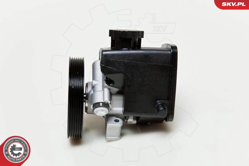 Hydraulic Pump, steering 10SKV046