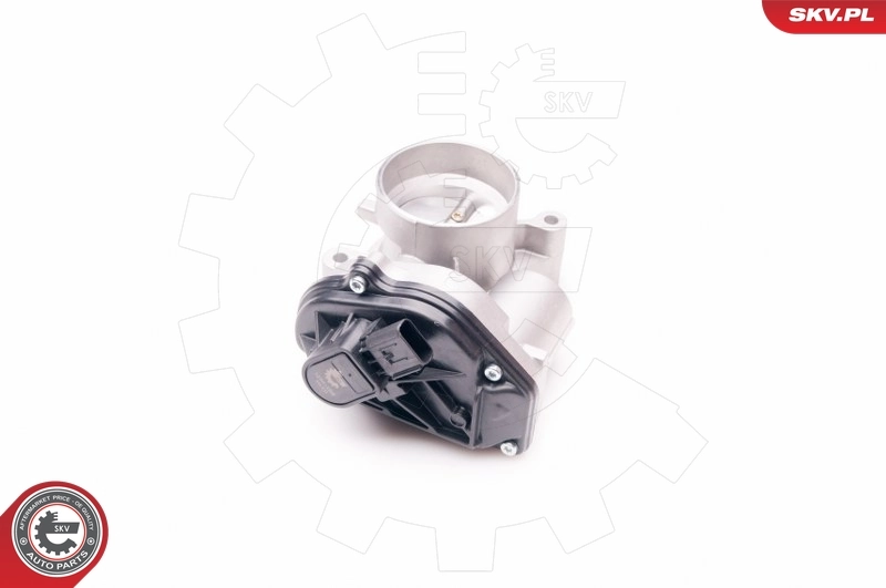 Throttle Body 12SKV069