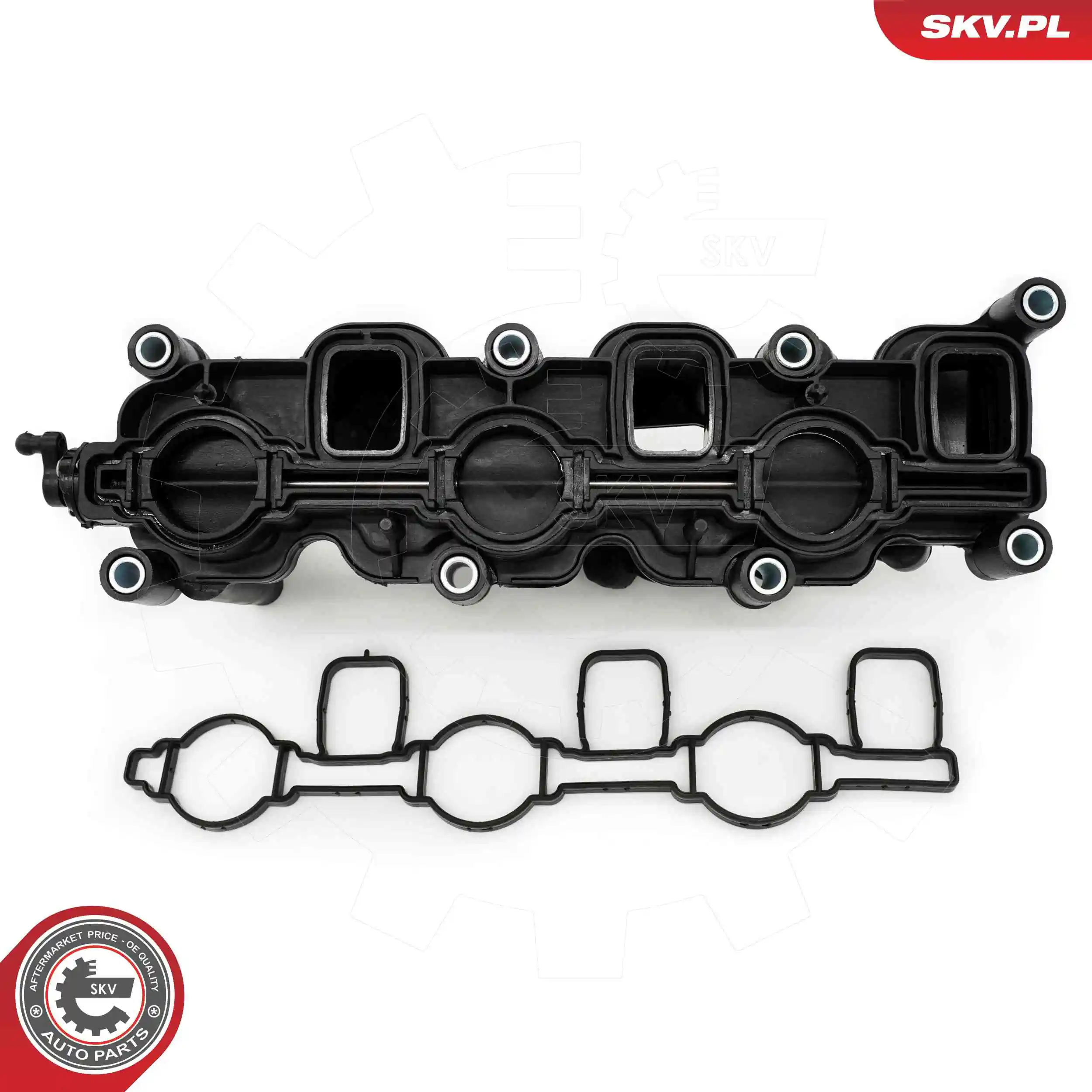 Intake Manifold Module 49SKV084