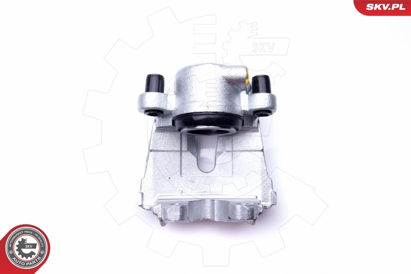 Brake Caliper 42SKV371