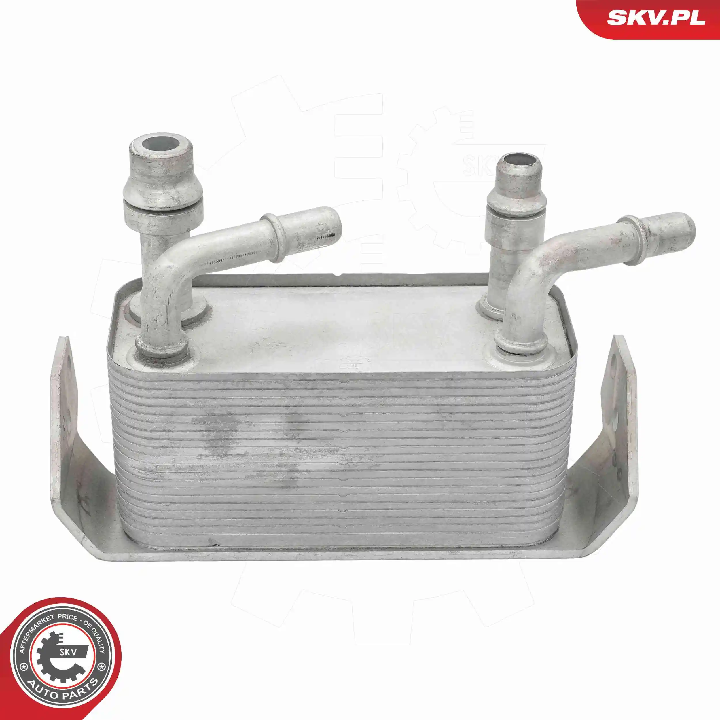 Oil Cooler, engine oil 31SKV372