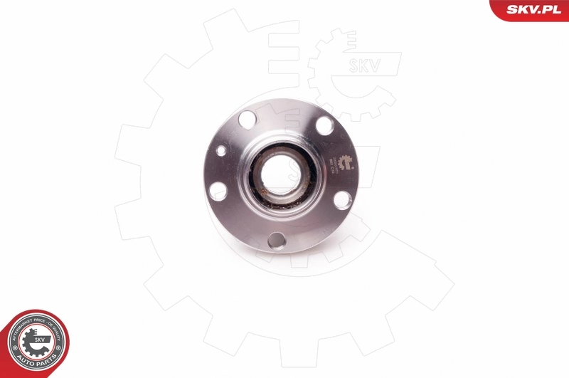 Wheel Bearing Kit 29SKV001