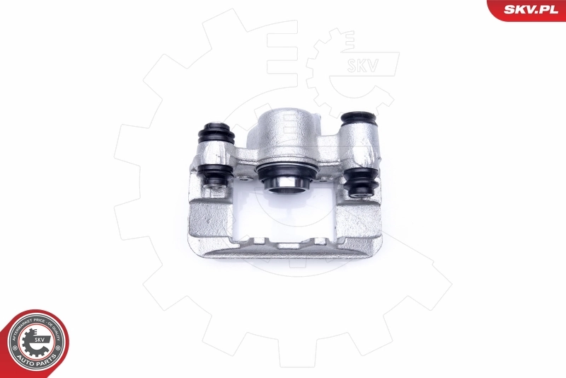 Brake Caliper 42SKV284