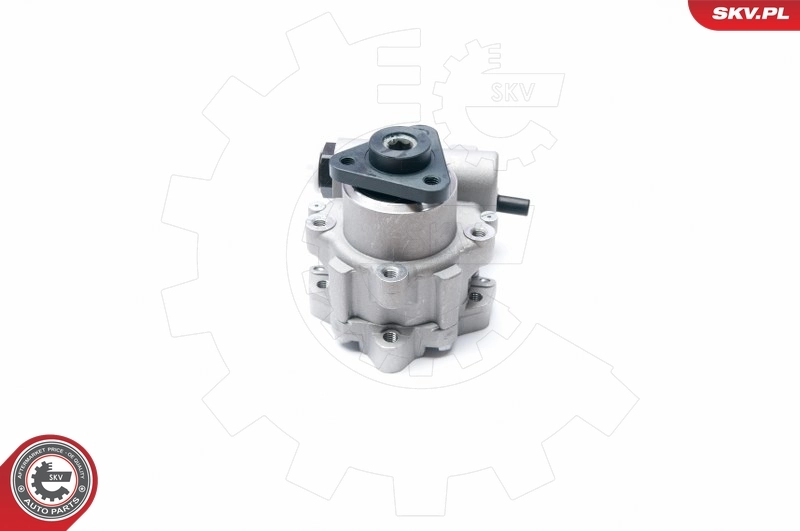 Hydraulic Pump, steering 10SKV224