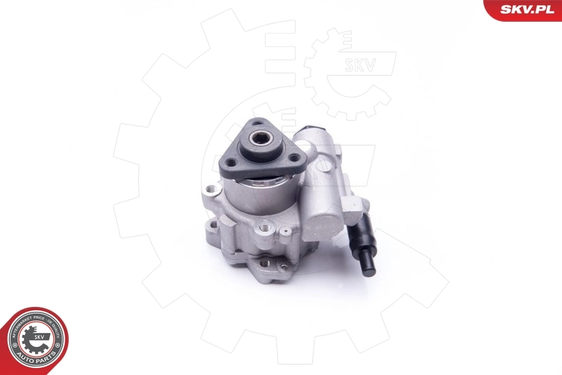 Hydraulic Pump, steering 10SKV196