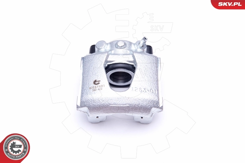 Brake Caliper 42SKV681