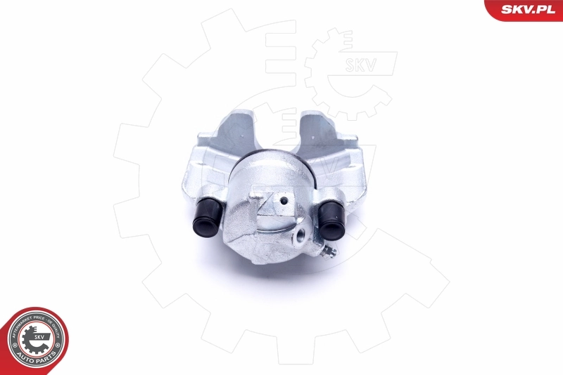 Brake Caliper 46SKV051